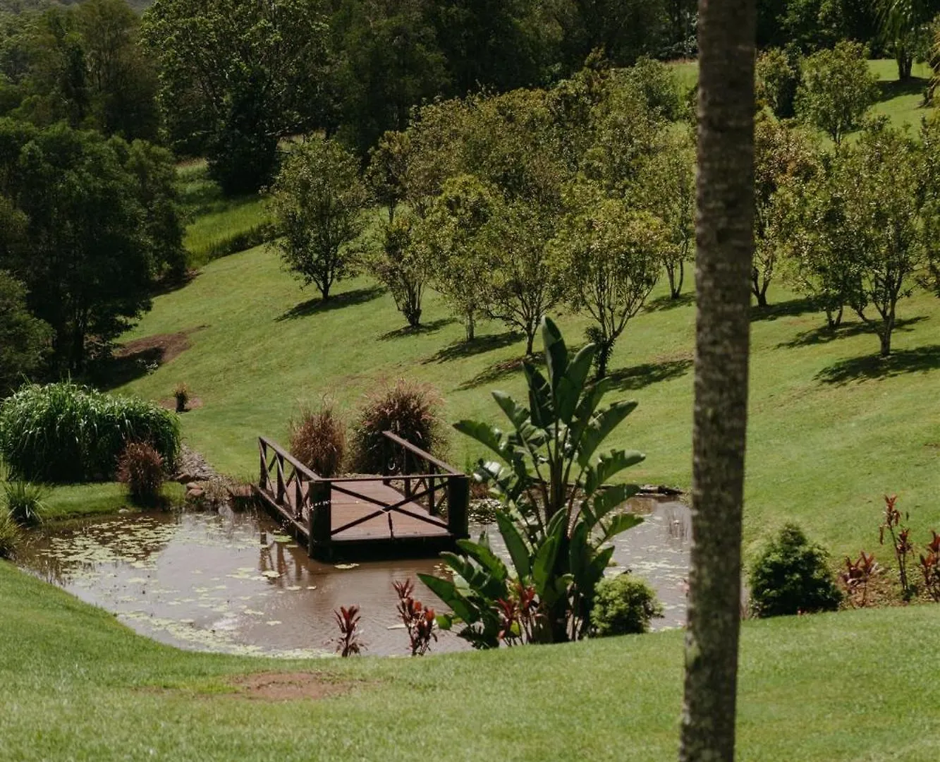 Austinvilla Estate Mudgeeraba Hotel